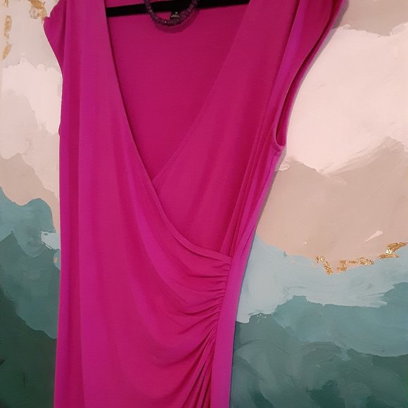 COPY - Ann Taylor dress, magenta, size M. - Picture 3 of 5